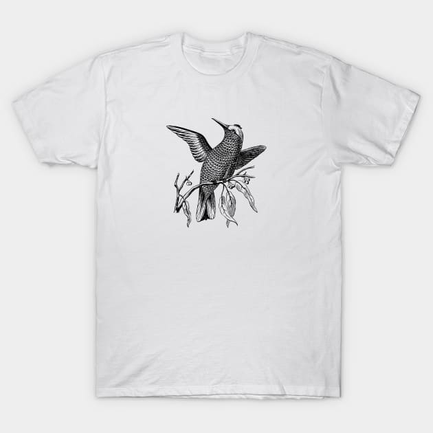 Bird T-Shirt by linesdesigns